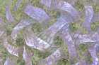 USA, Washington State, Seabeck. Abstract composite of leaves and ribbon shapes. Abstract Art Print